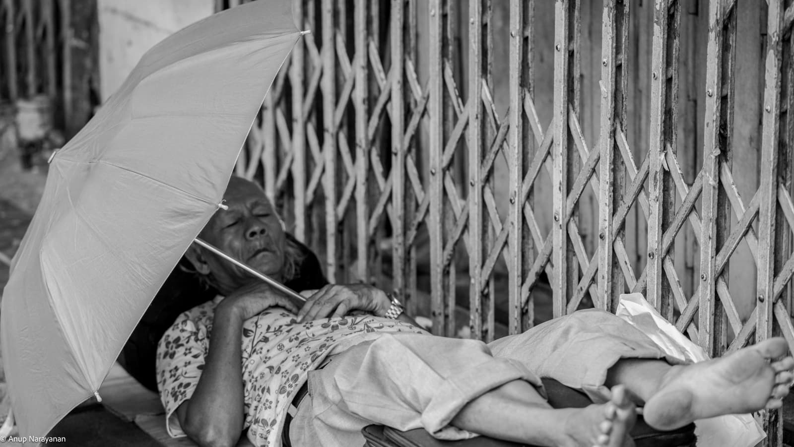Shade and sleep